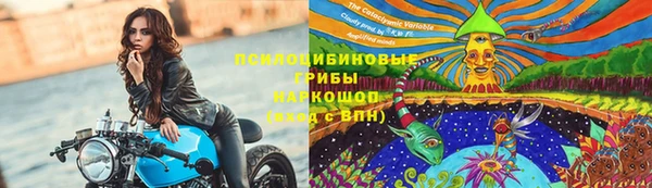 круглые Алексеевка
