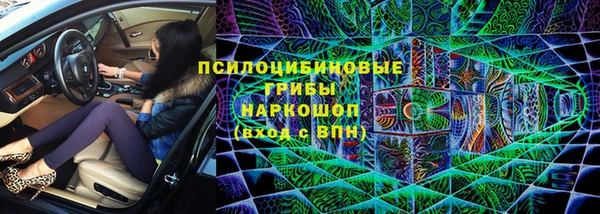 сатива Абаза