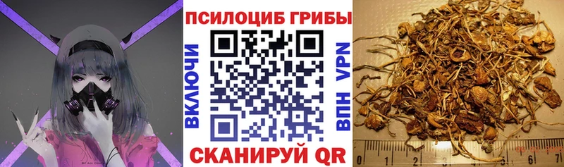 omg зеркало  Черногорск  Галлюциногенные грибы Magic Shrooms  цены  