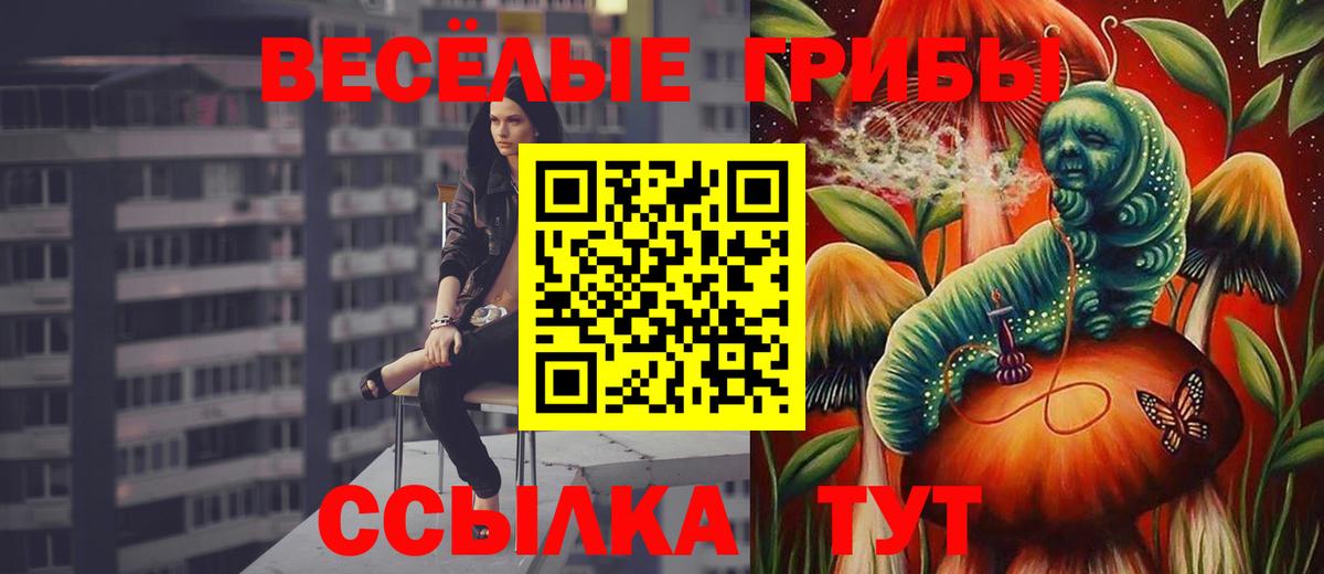 Галлюциногенные грибы MAGIC MUSHROOMS  Вход с VPN  Черногорск 